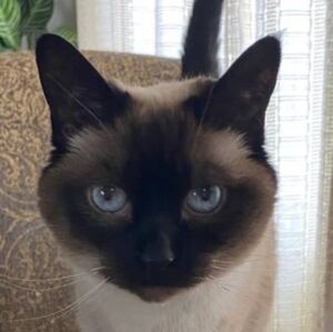 Meet your Posher, Mary